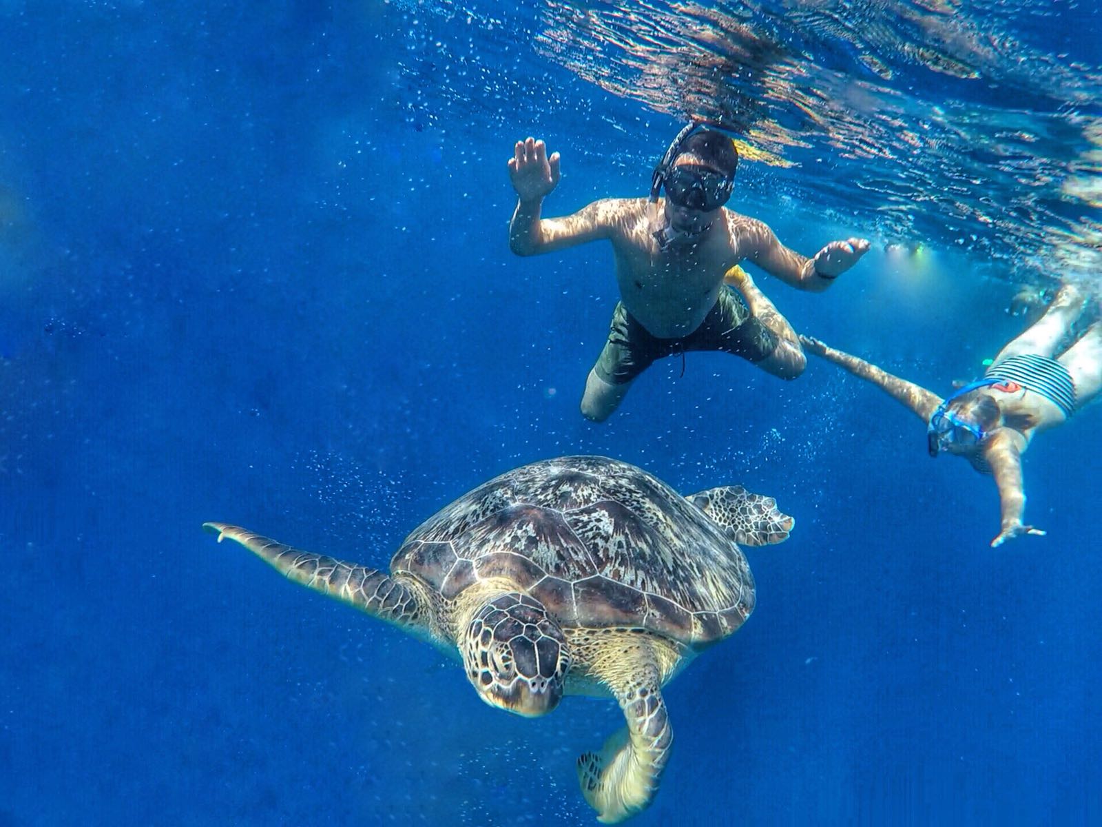 lombok 3 gili excursion